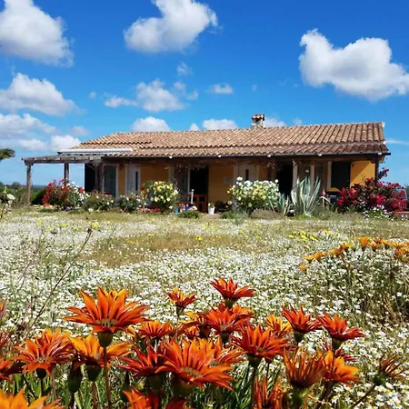 Apartman Casa Maichen